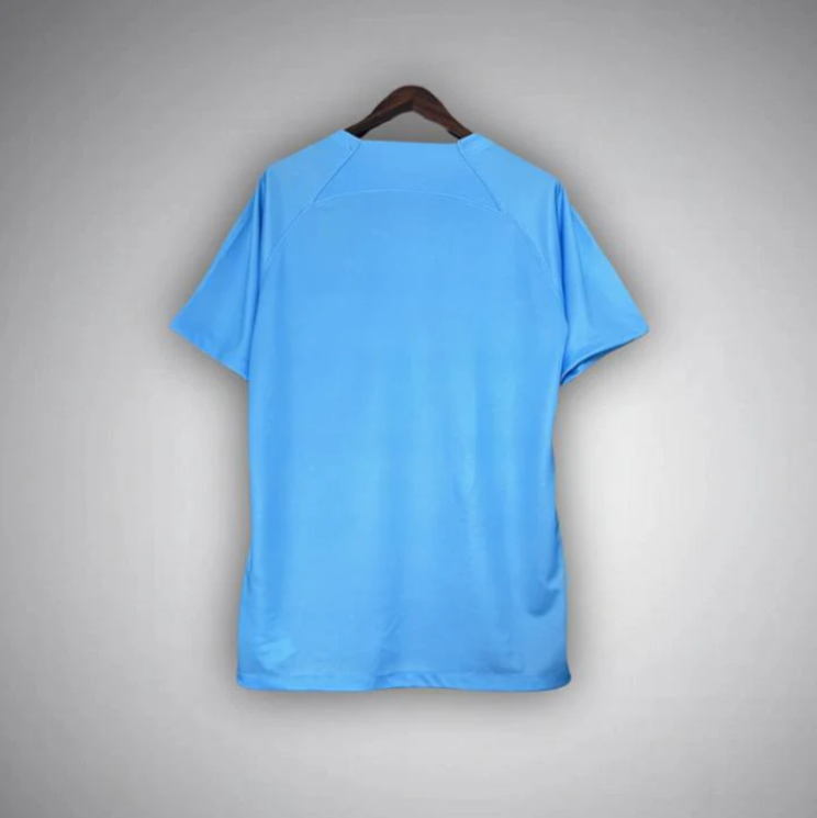 Nederland - Limited Blue Lion